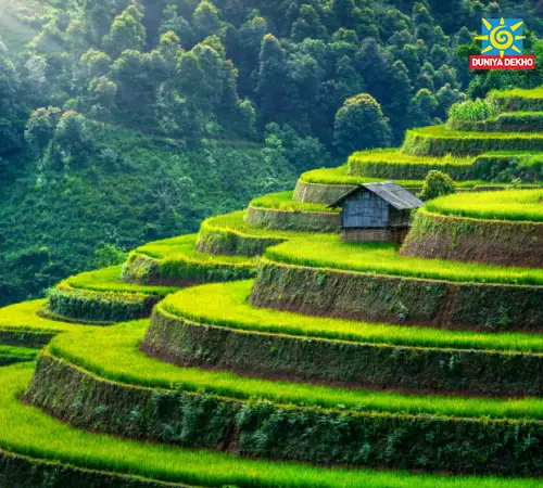 Duniya Dekho Soulful Vietnam